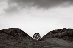 Hadrian's Wall, Sicamore Gap