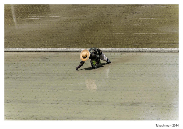 Michiel Hendryckx